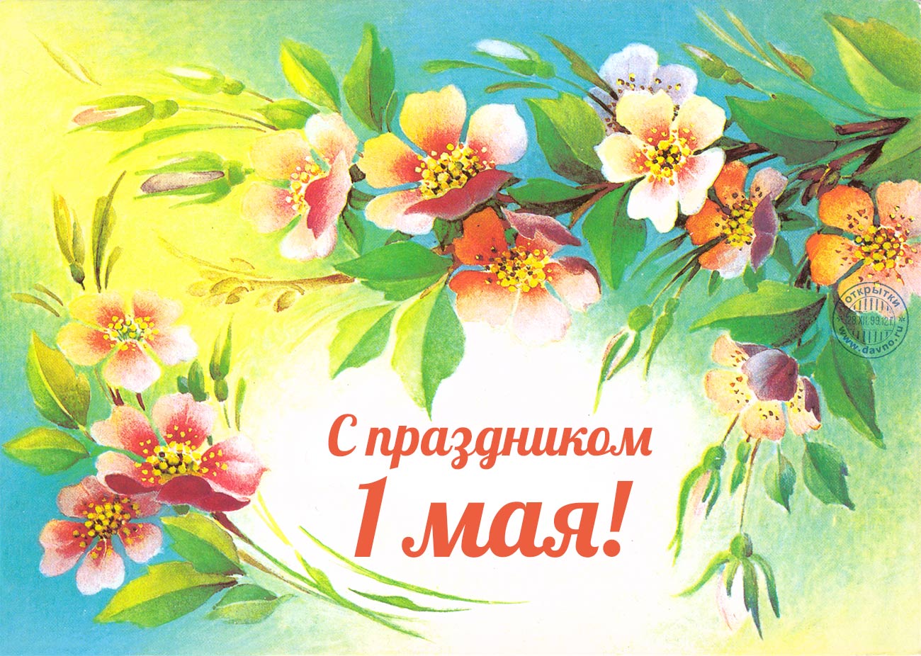 48B5F01D-0A72-4681-94F3-B87F2122EB2E